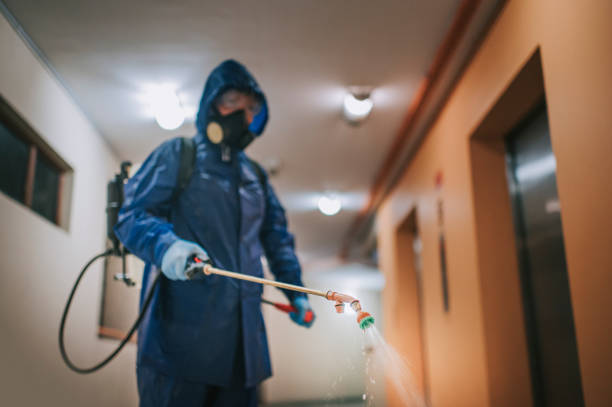 istockphoto 1220342460 612x612 istockphoto 1220342460 612x612