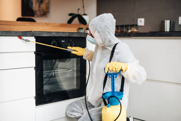 istockphoto 1354274958 612x612 istockphoto 1354274958 612x612
